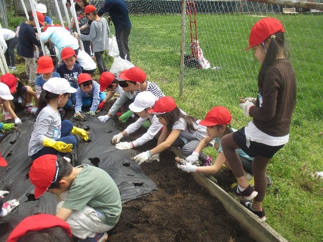 アサガオとジャガイモを育てよう