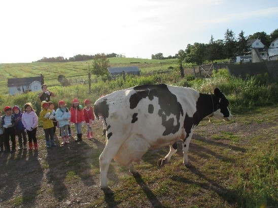 一泊二日の農場体験