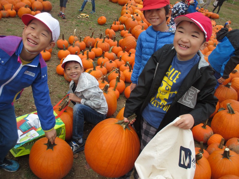 秋の校外学習~かぼちゃ狩り~