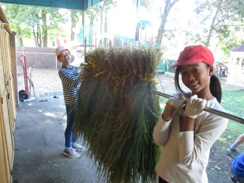五年生、人生初の稲作