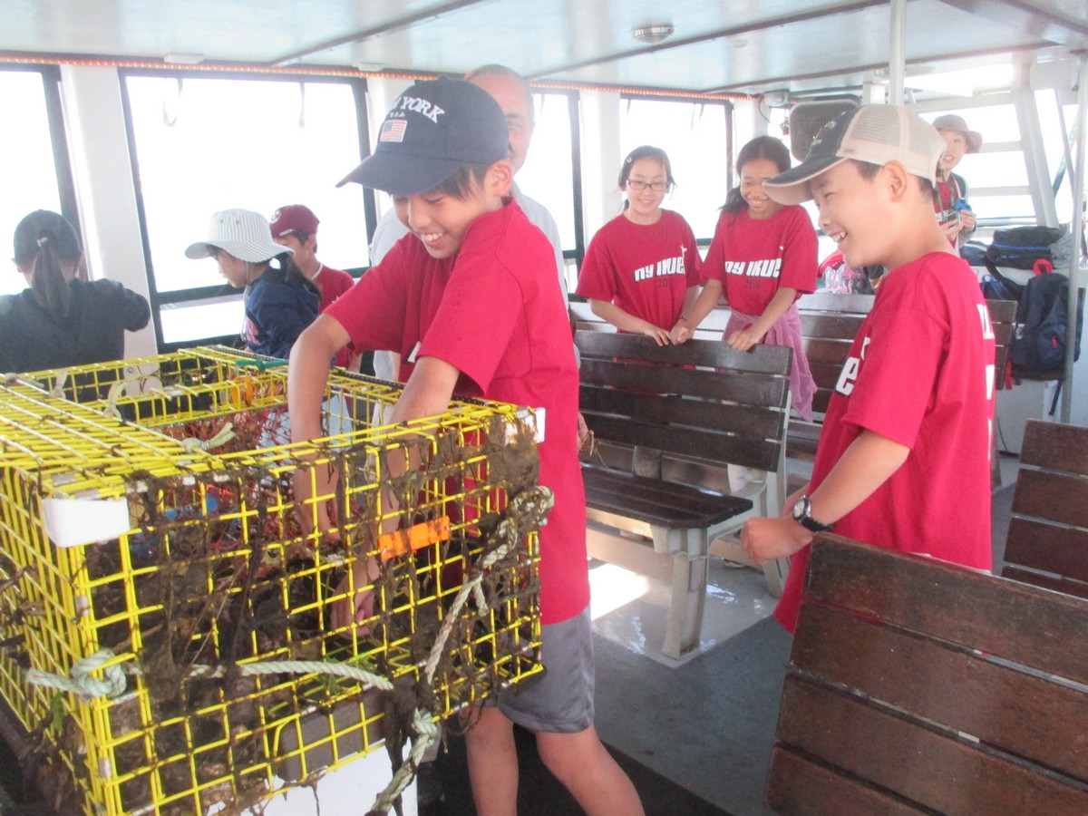絆を深めた4日間の移動教室