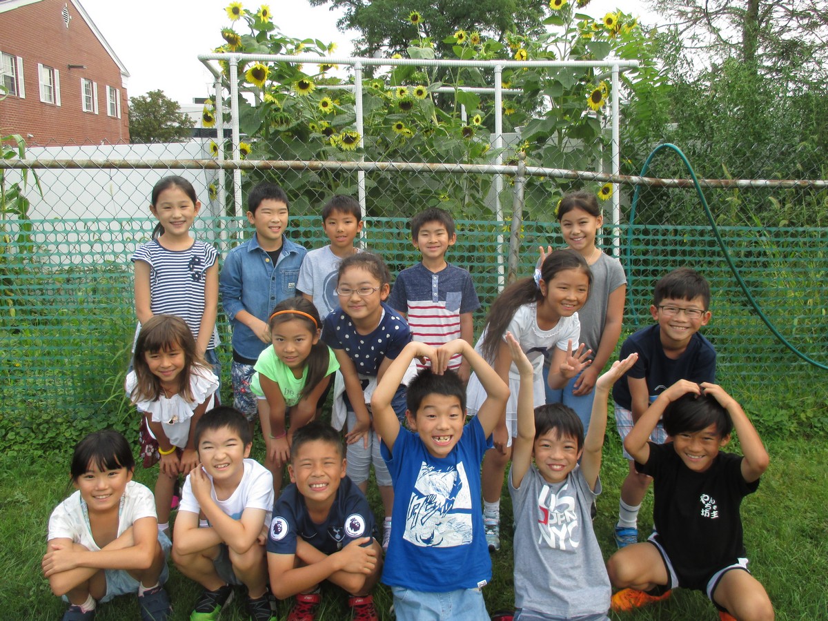 ひまわりがさいたよ