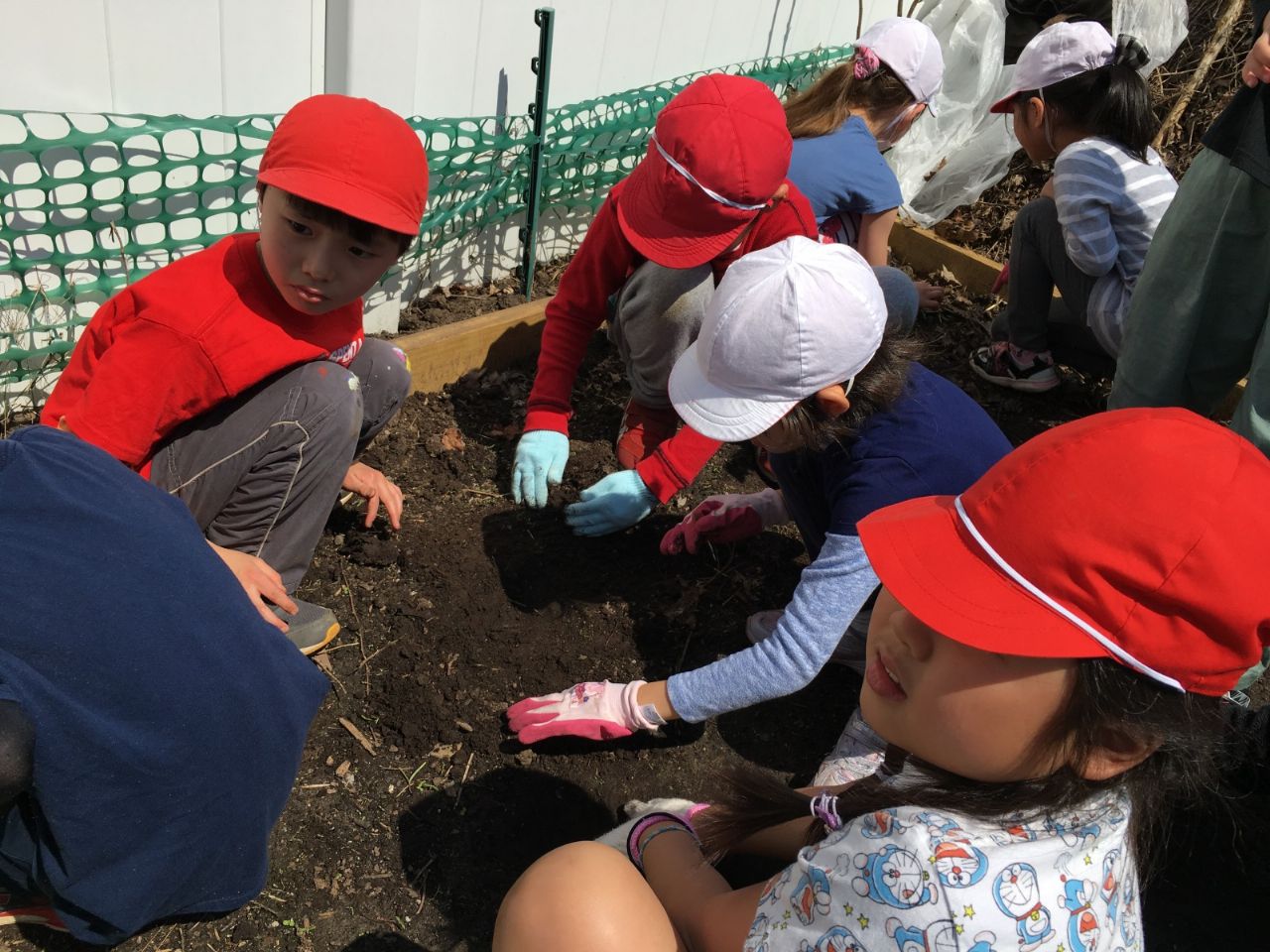 やさいをそだてよう