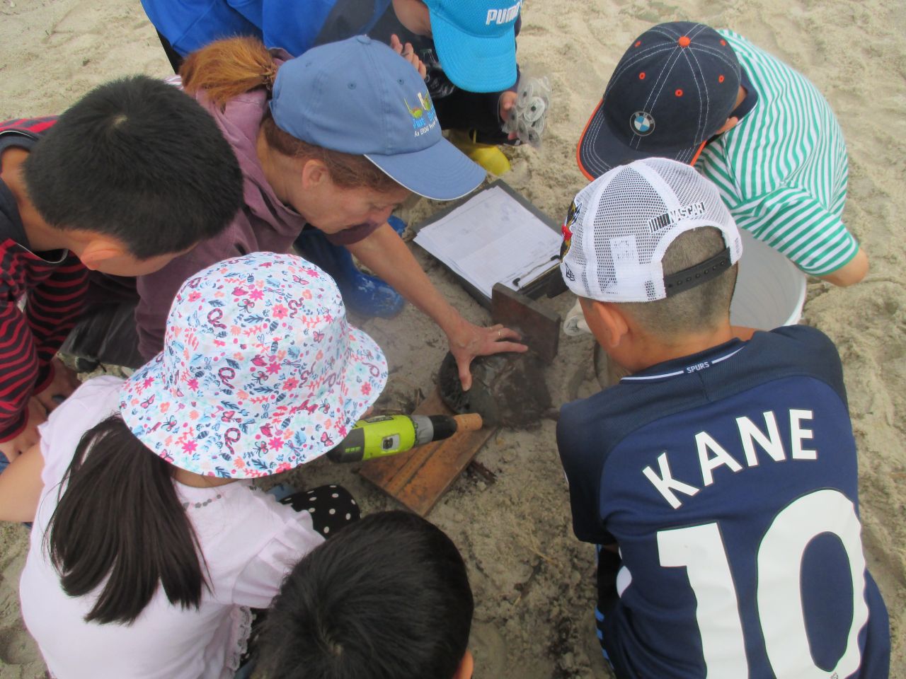 天然記念物との触れ合い