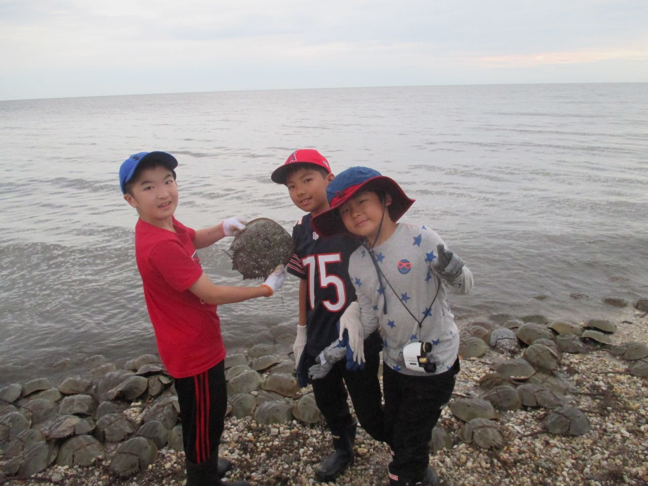 デラウェア州への移動教室