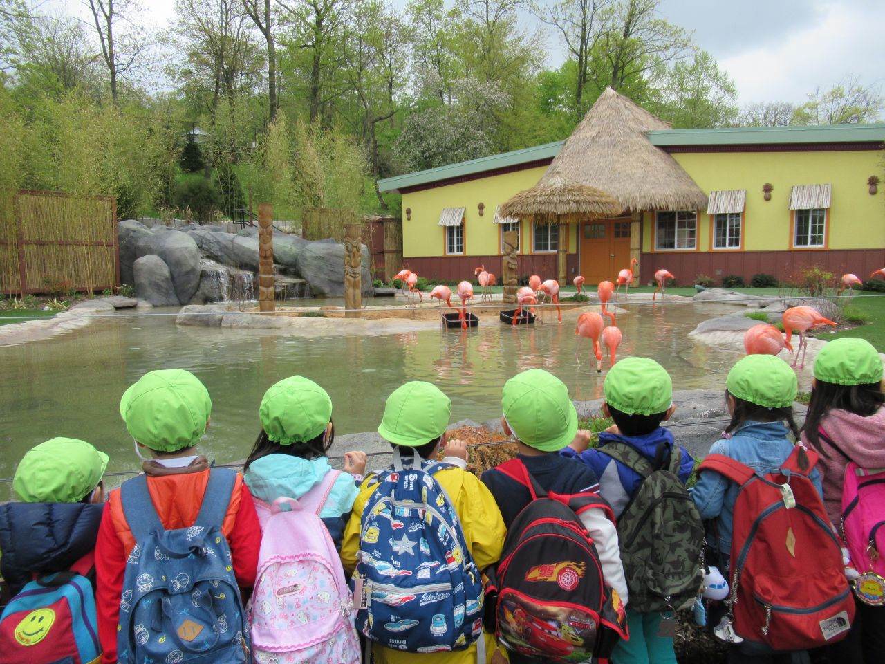 春の遠足「タートルバックズー」