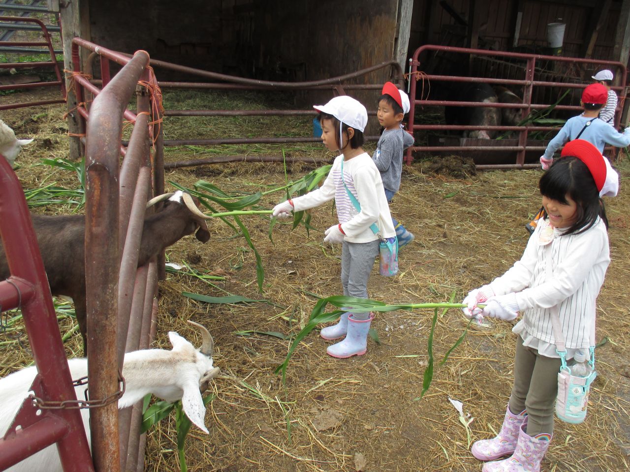 移動教室　ファームステイ