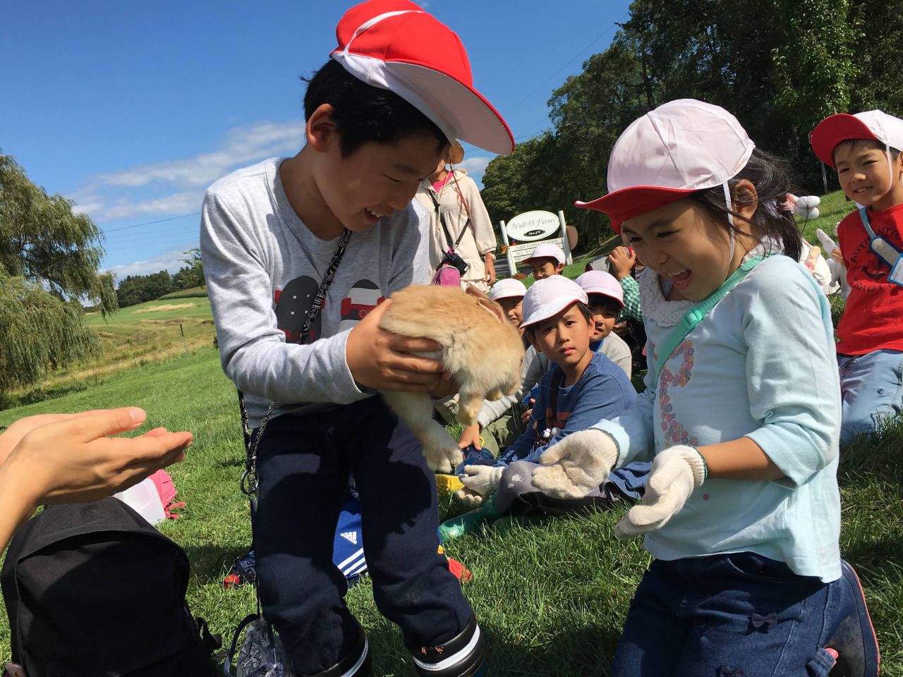 ファームステイ