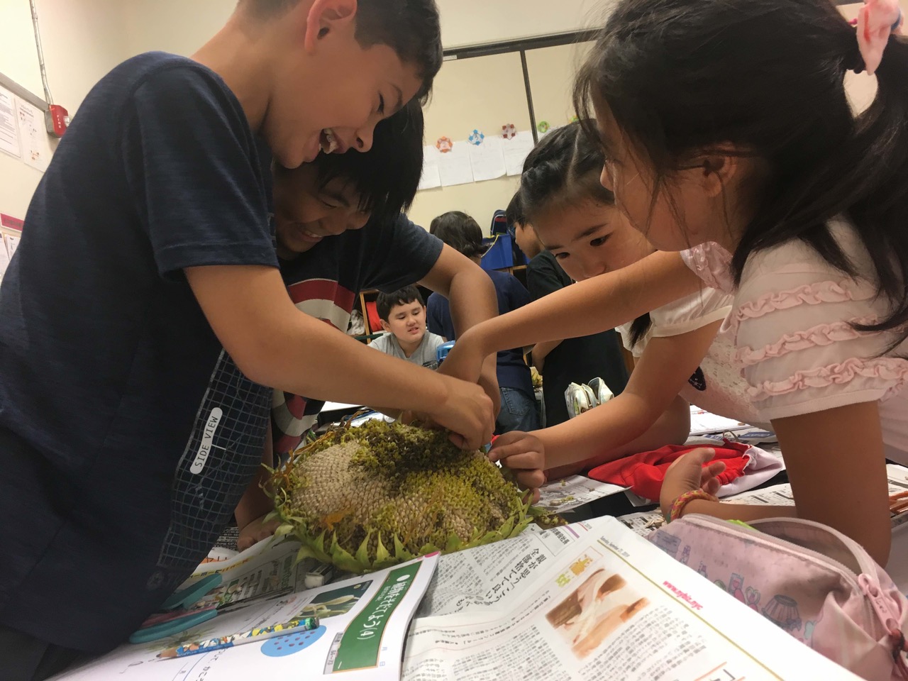 きれいごとではなく、真実に目を見受ける学習