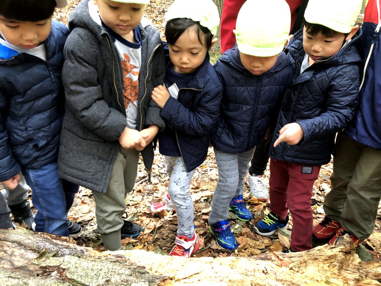 森の幼稚園