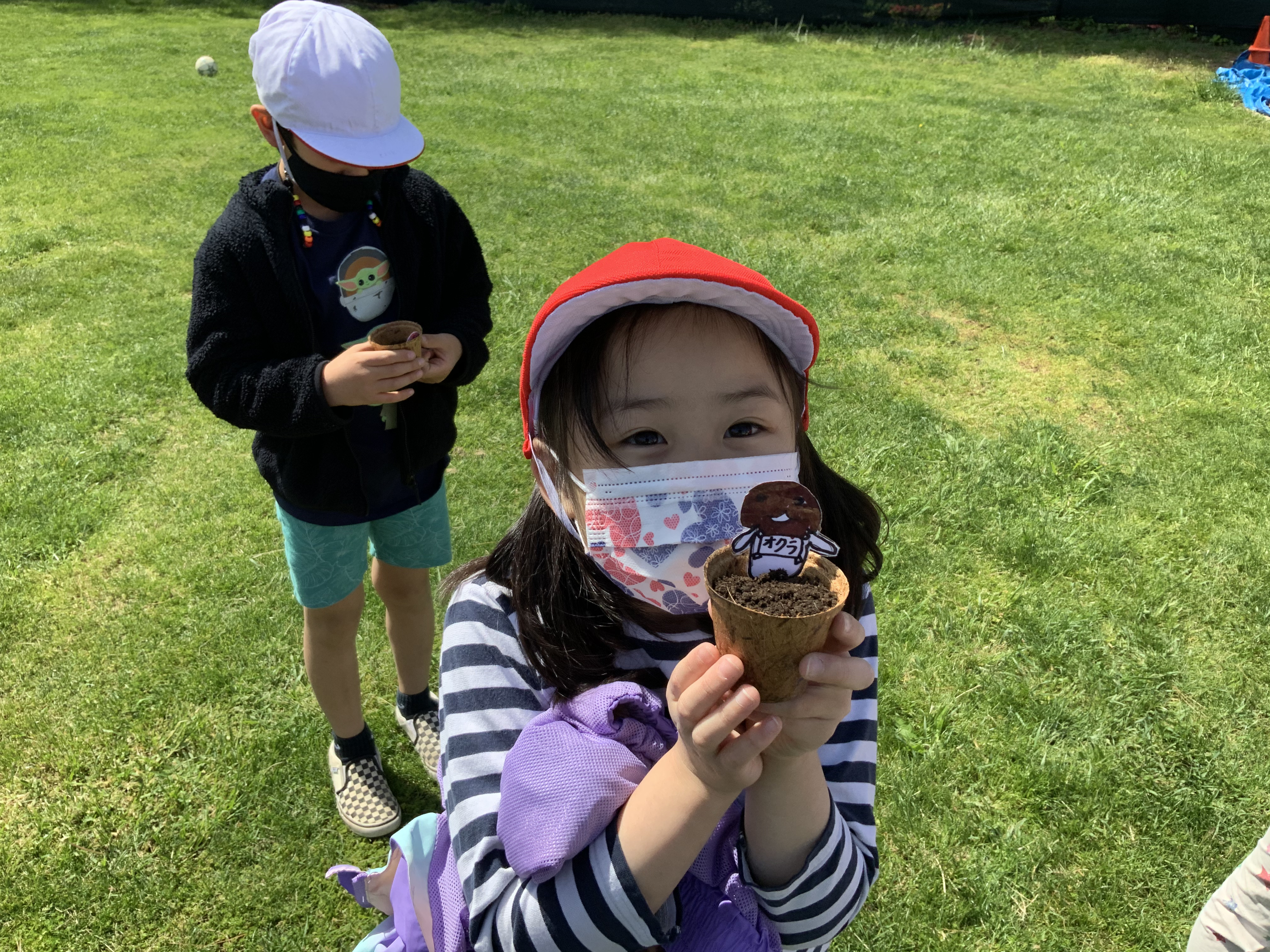 野菜をそだてよう