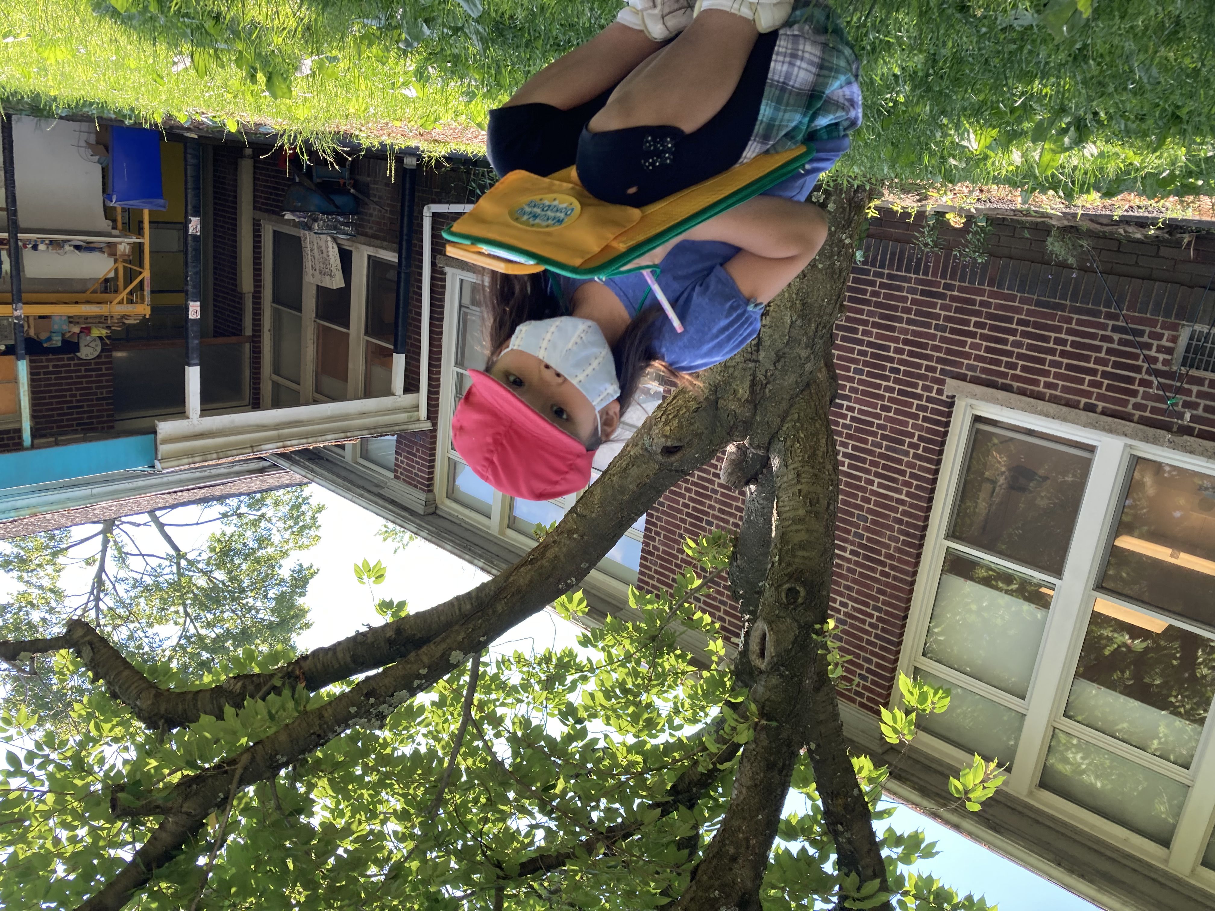 夏空の下、俳句教室