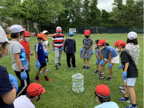 蝶さん、元気でね