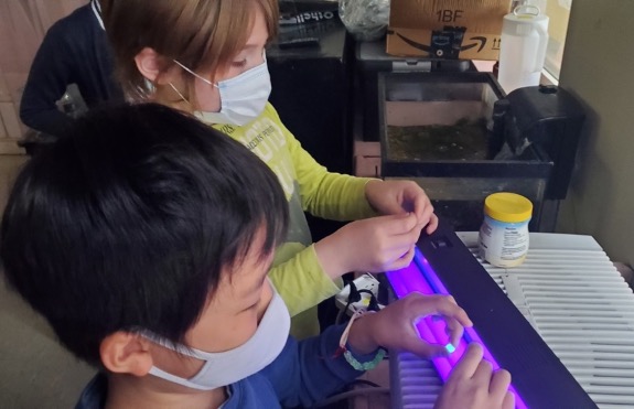 理科とは挑戦し続ける教科!