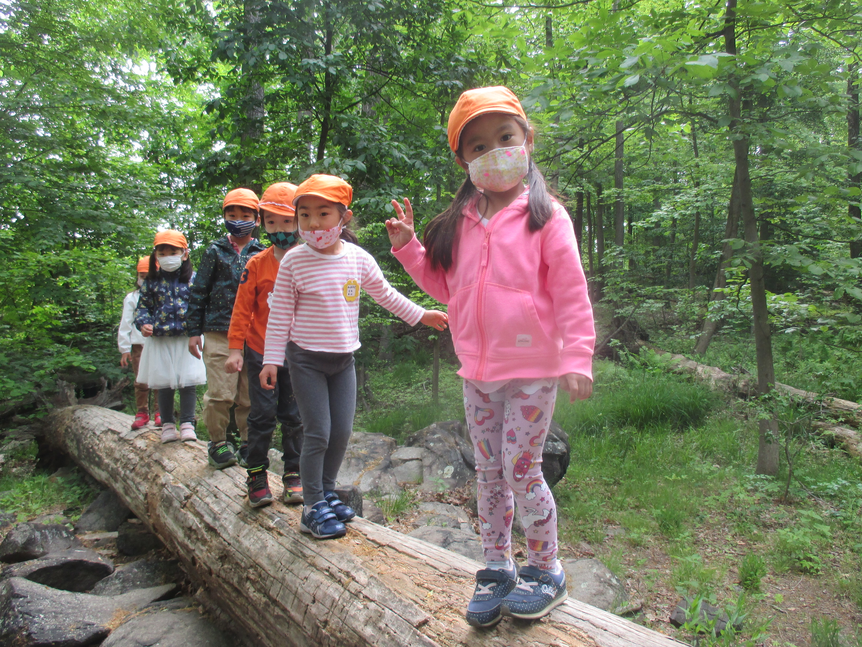 森の幼稚園でたくさんの自然を感じました