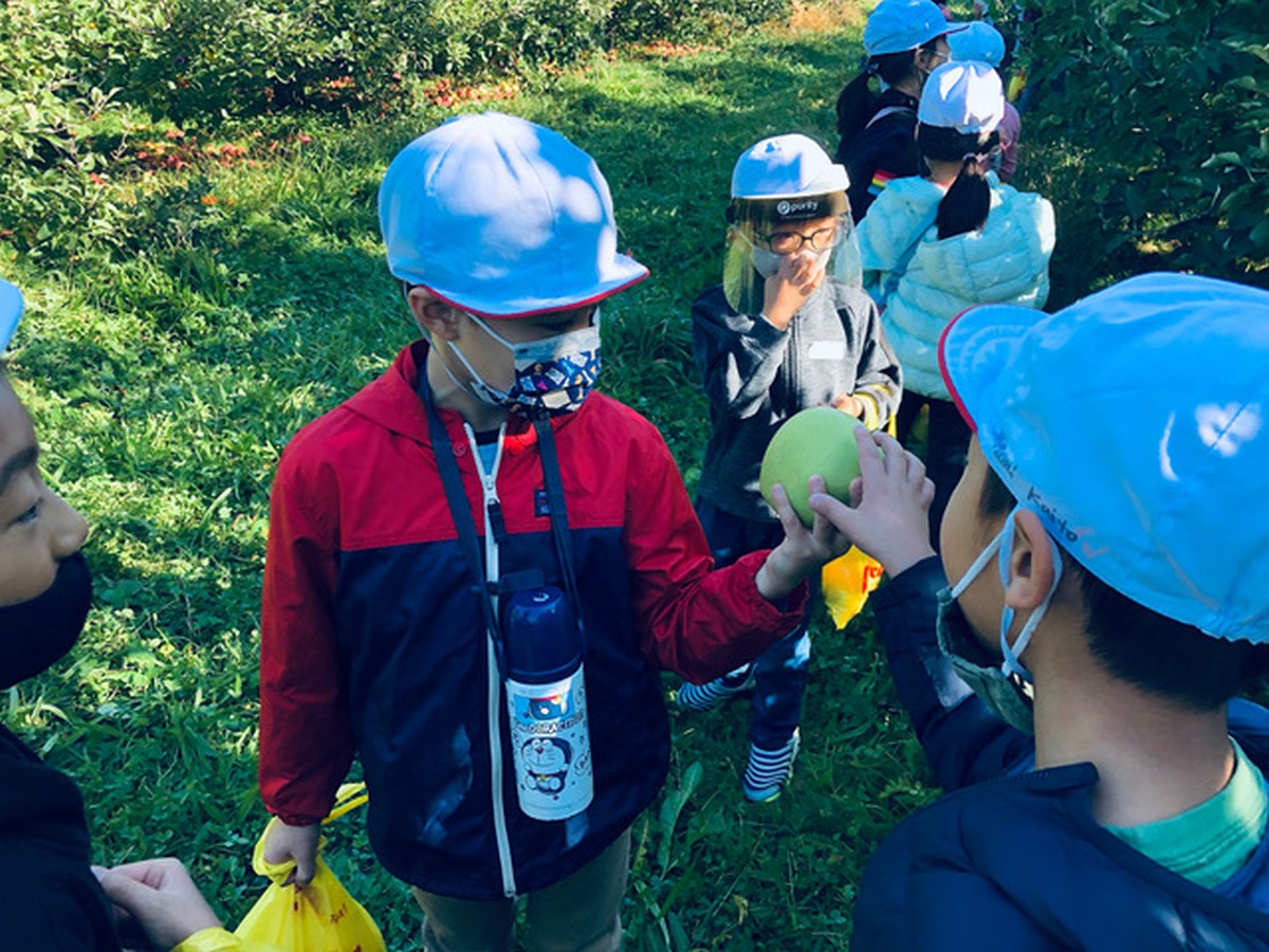 青空の下でのりんご狩り
