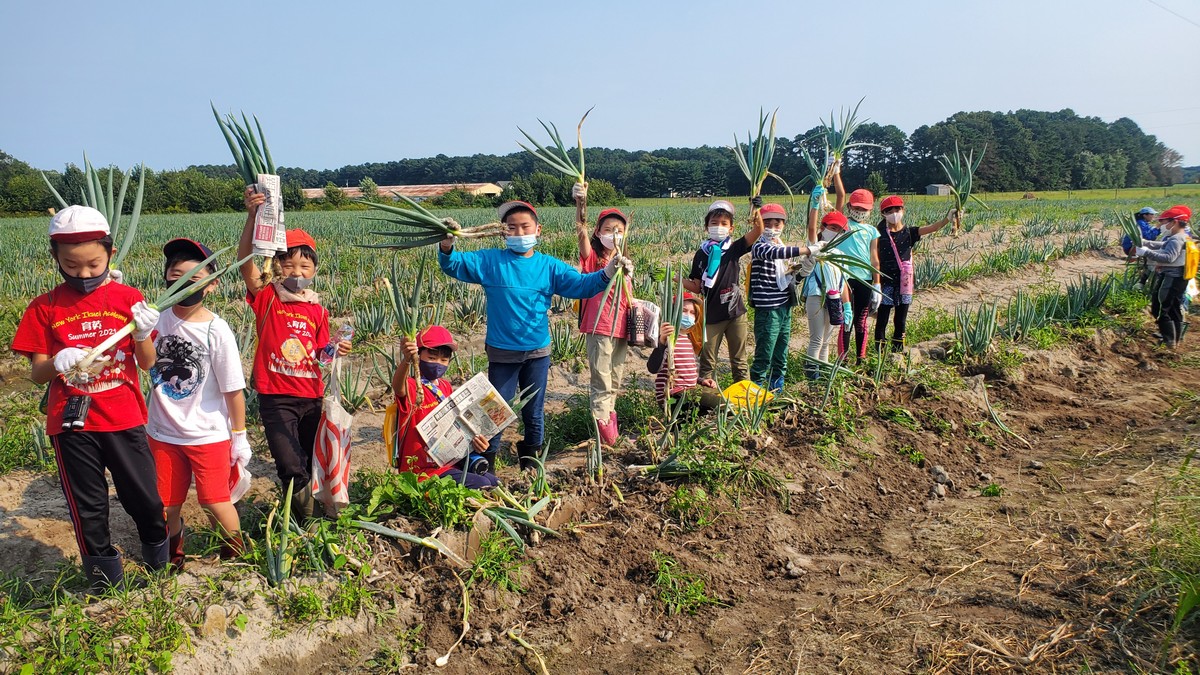 移動教室カブトガニと野菜の旅