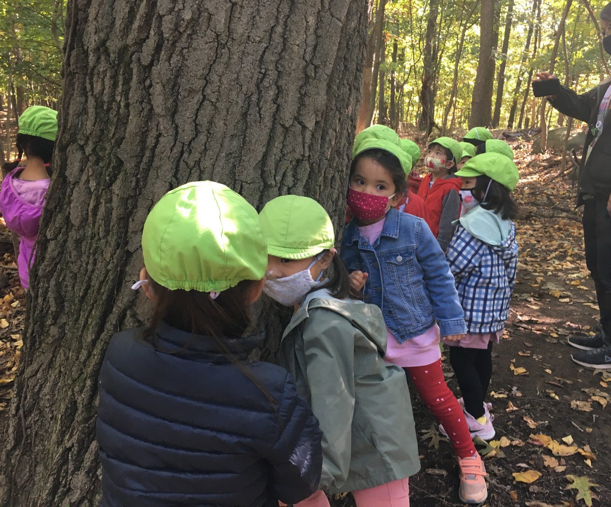 五感を働かせた森の幼稚園