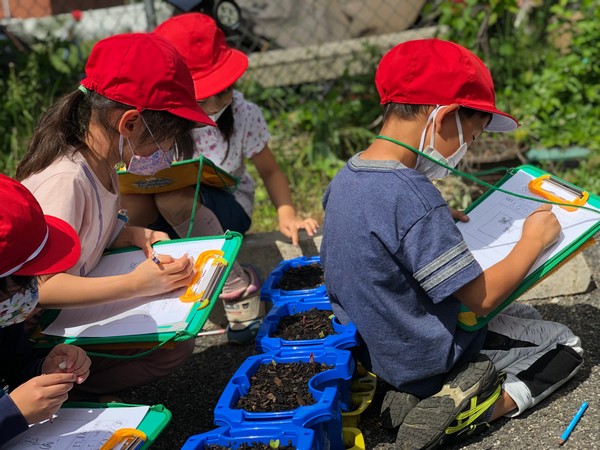 きれいにさいてね