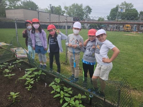 大きくなってね、ひまわりさん