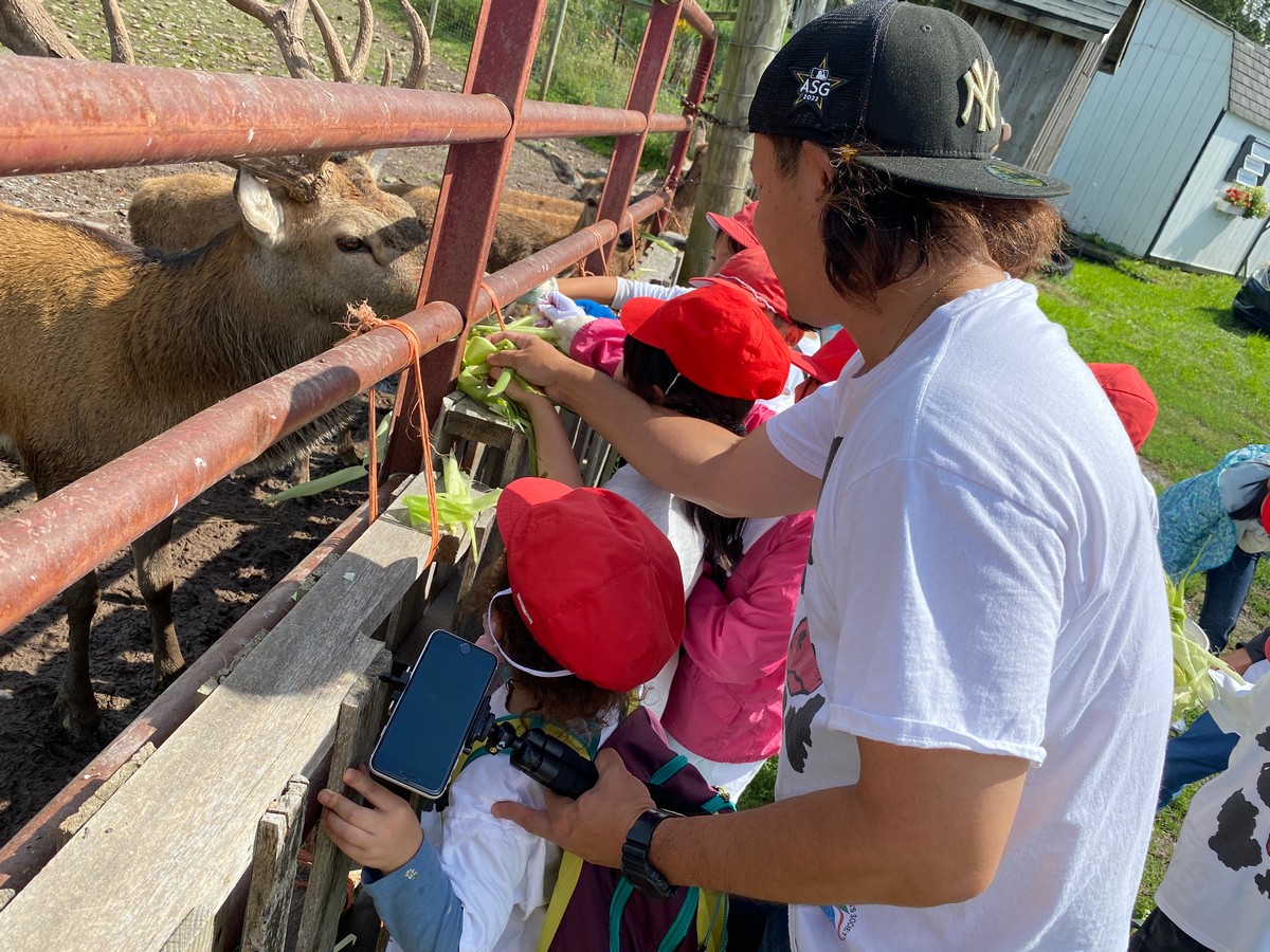 1泊2日のお泊りファーム体験