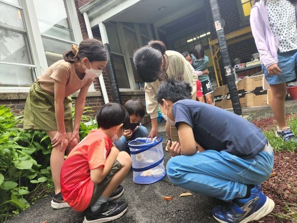 ヒメアカタテハ、大空へ!