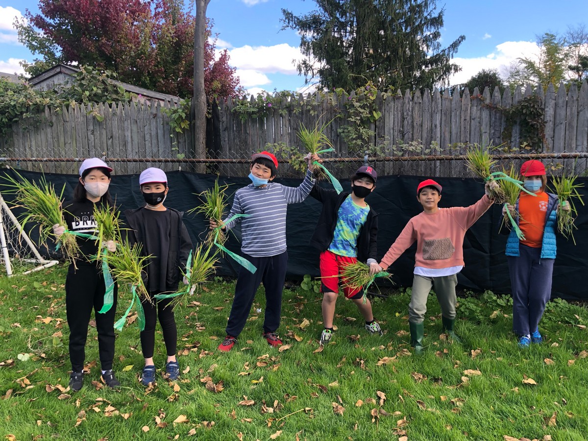 みどりの日の草刈りと米づくり