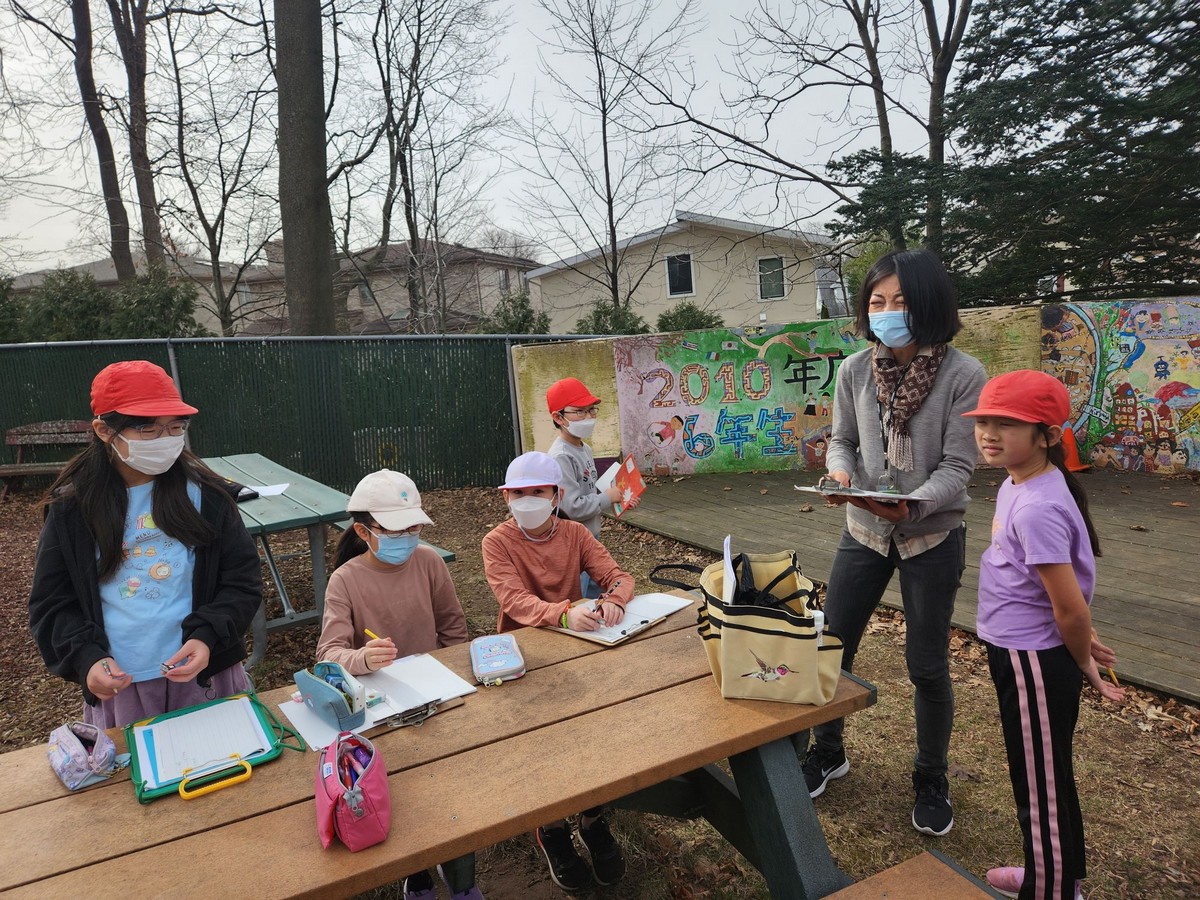 自然からインスピレーションを得て