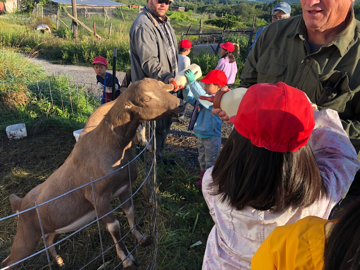 ファームステイ