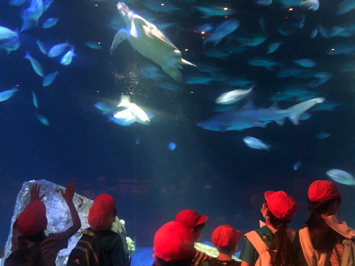 秋の遠足~ニューヨークアクアリウム~