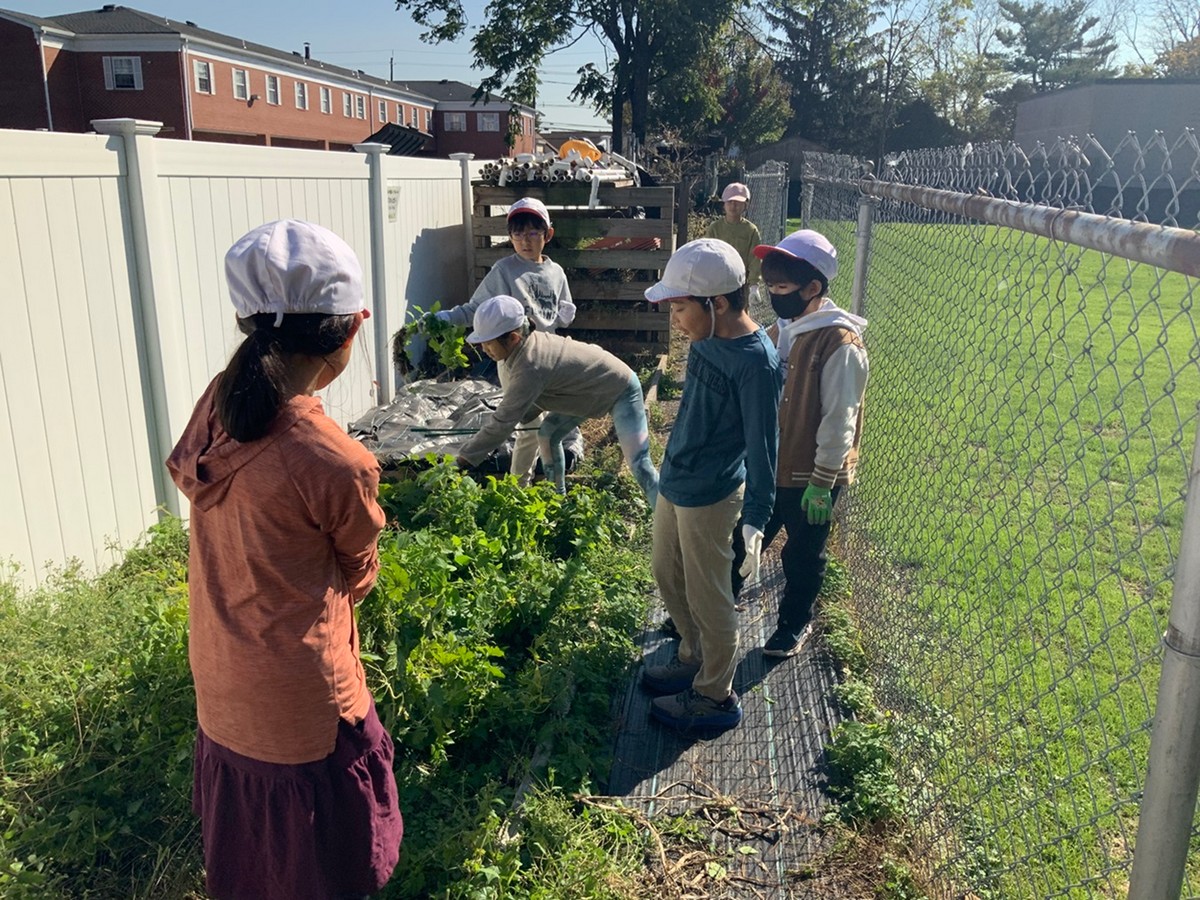 ありがとうツルレイシ