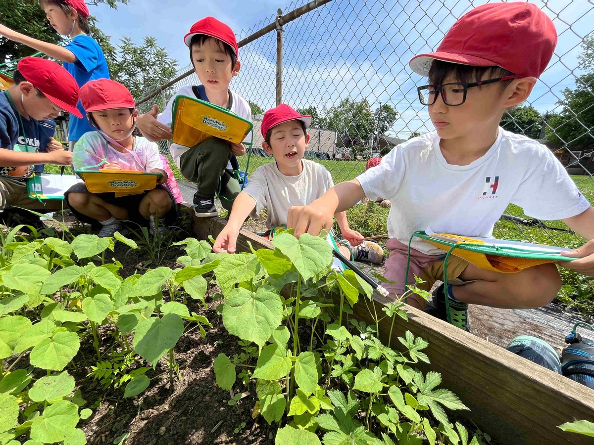「野菜を育てよう」