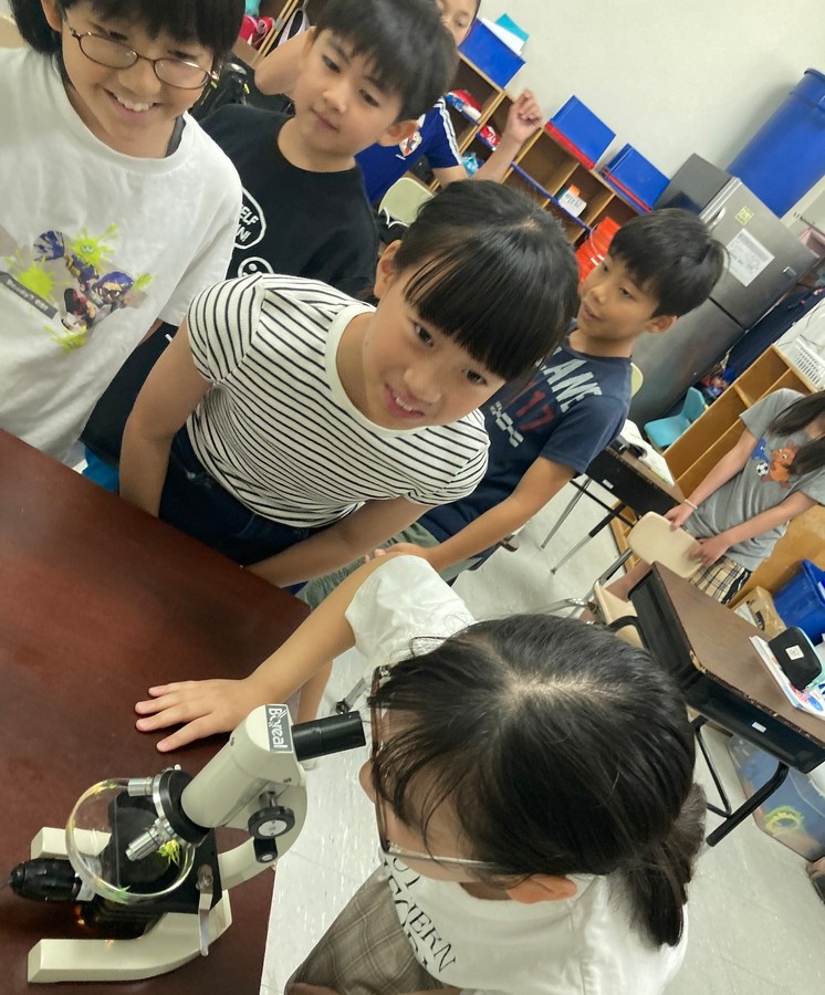 メダカの卵を発見、観察しました