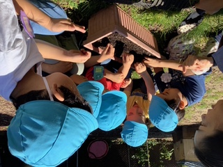 大きくなあれ!野菜の種植え