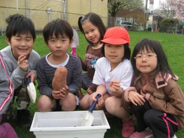 さつまいものたねいも植え・苗植え