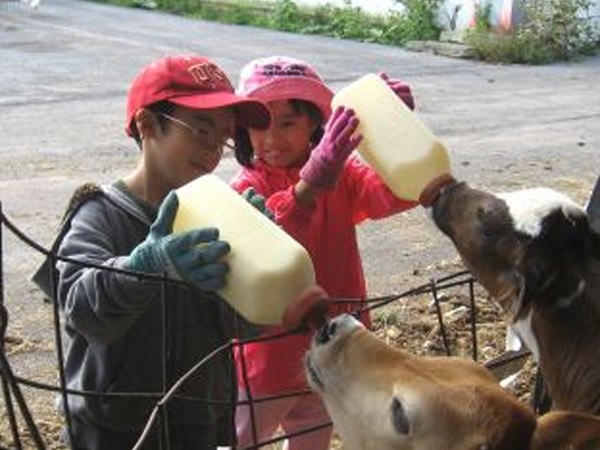 「宿泊学習楽しかったよ!」