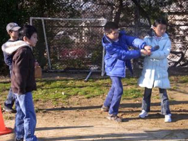 「オクラと蚕と野球」