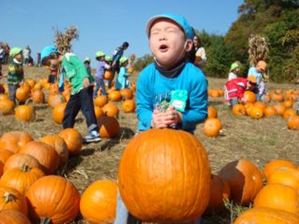 ｢秋の遠足　かぼちゃ狩り｣
