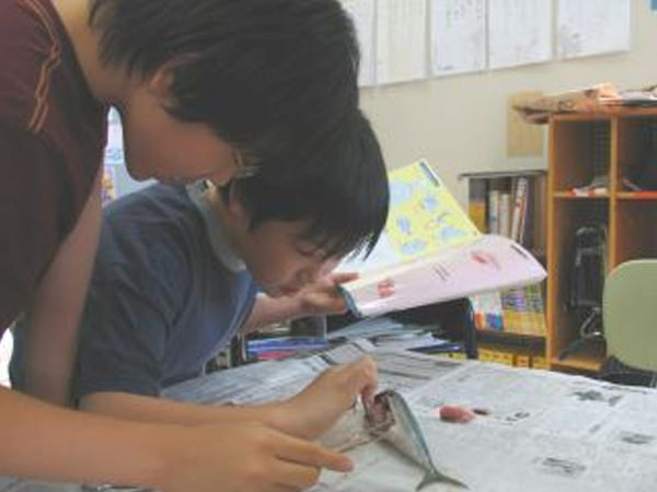 「理科・体の仕組み」