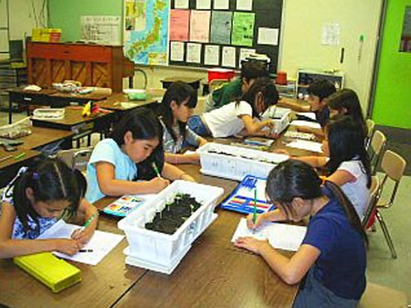 「オクラよ,おおきくなぁれ!」