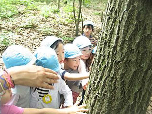 「６月「森の幼稚園」」