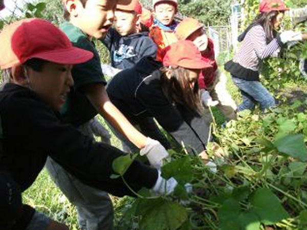 「秋をたっぷり味わいました」