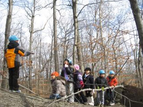 「氷や霜柱を見つけたよ!森の幼稚園(冬)」