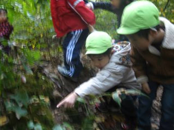 「ワクワク・ドキドキ森の幼稚園」