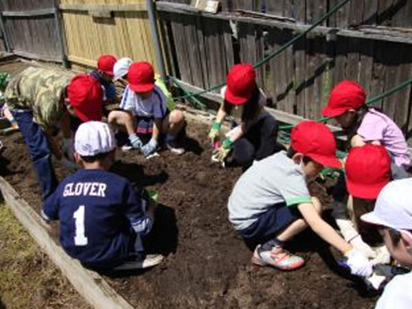 ｢アサガオの観察｣