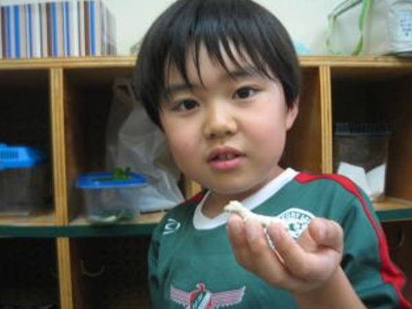 「かわいいカイコ」