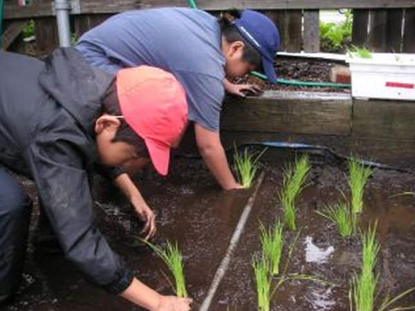 「田植え地蔵になった日」