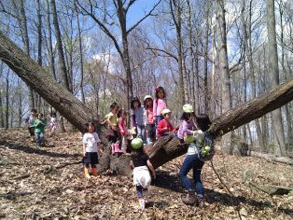 ｢森の幼稚園　春＆夏｣