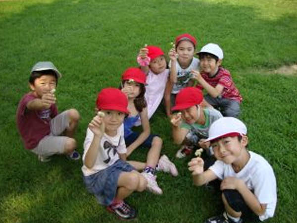 ｢シロツメクサ｣