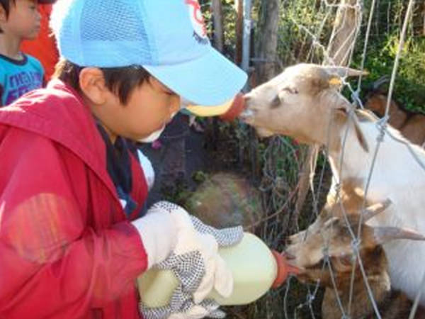 「ファームステイ」